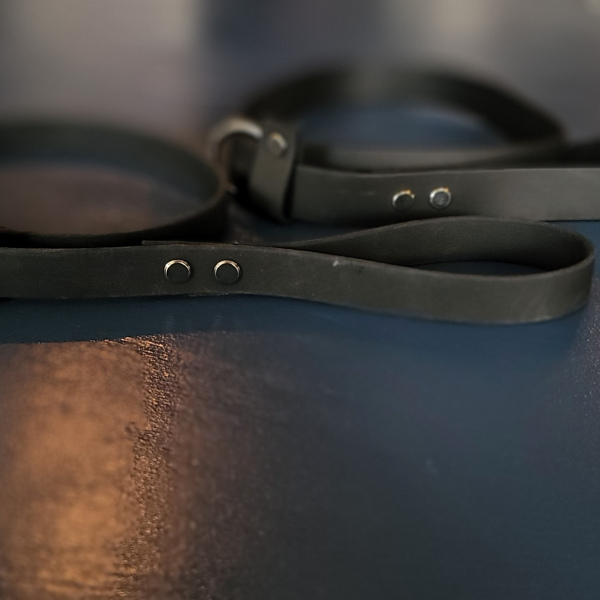 BioThane Slip Lead Black