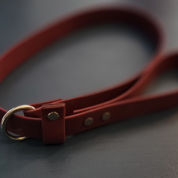 BioThane Slip Lead Red