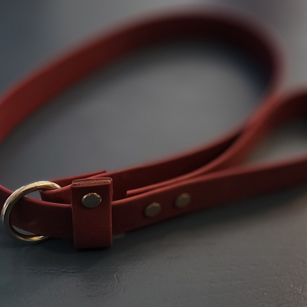 BioThane Slip Lead Red